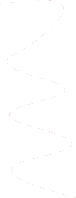 Vector-mobilesection5